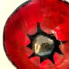 émail rouge vif et or céramique pièce unique