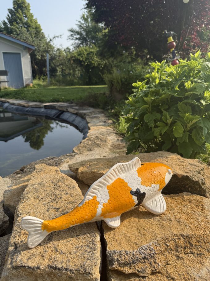 carpe Koï sur commande, choisissez la couleur pour amoureux de poissons claymee