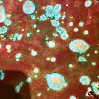 émail forêt brun et vert mousse coupe céramique fait main pièce unique dommartin claymee